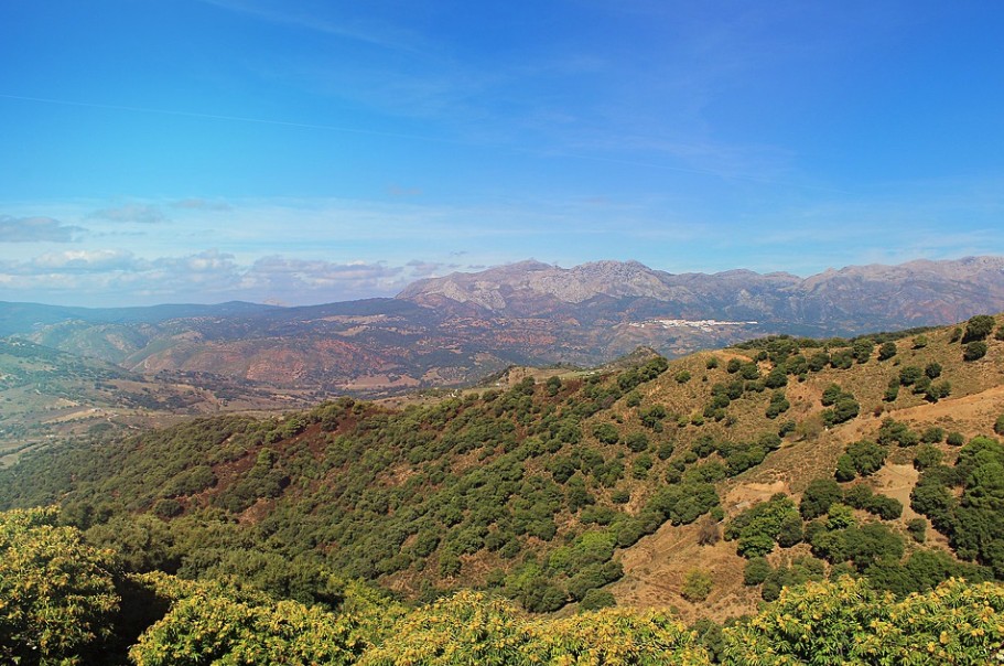 Serrania de Ronda La Taha