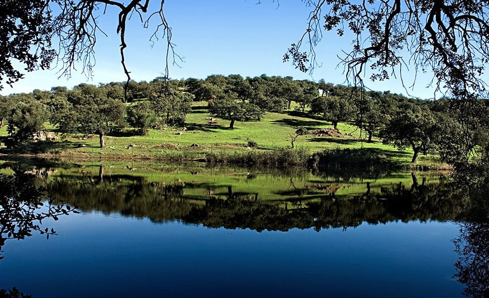 Sierra de Aracena Taha