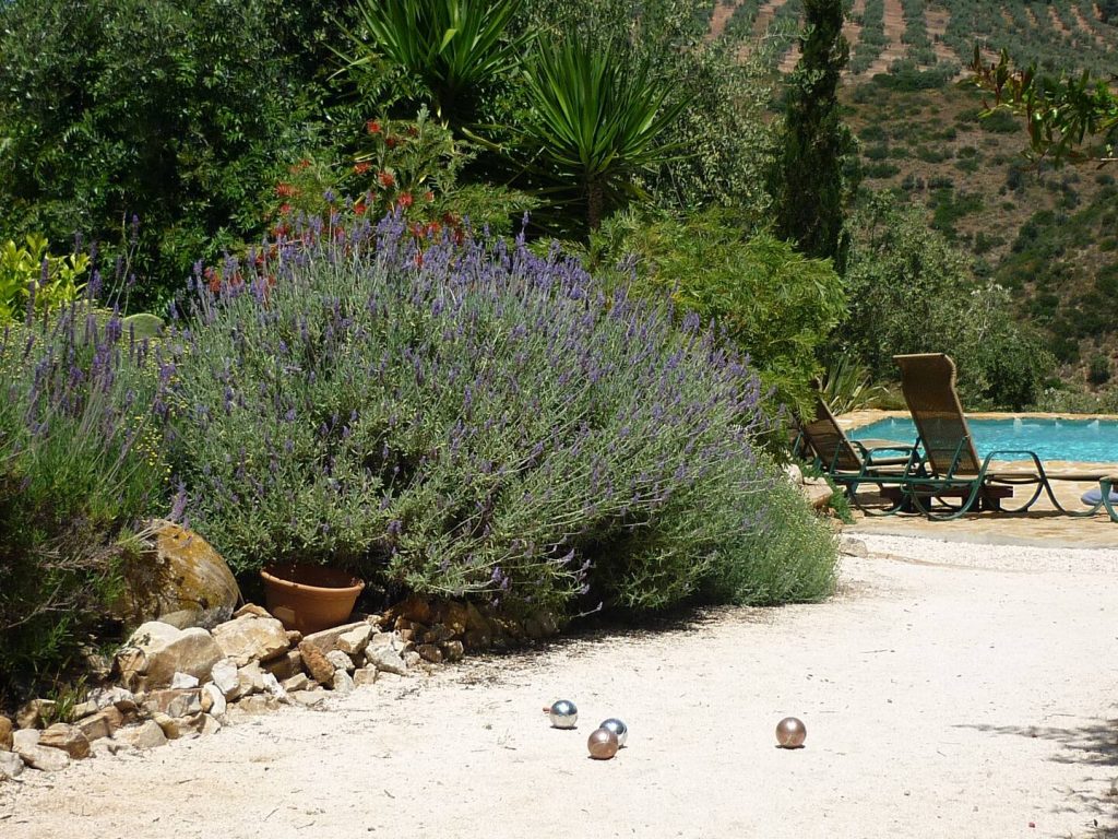 Groot gezamenlijk zwembad van Casita Perdiz in prachtige tuin